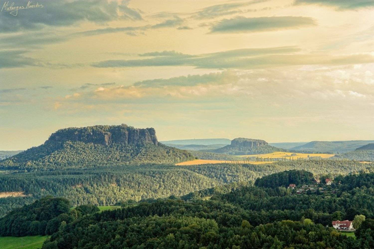 , Mindaugas Navickas