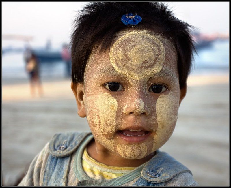 бирма, девочка, бирманочка Бирманочка.... фото превью