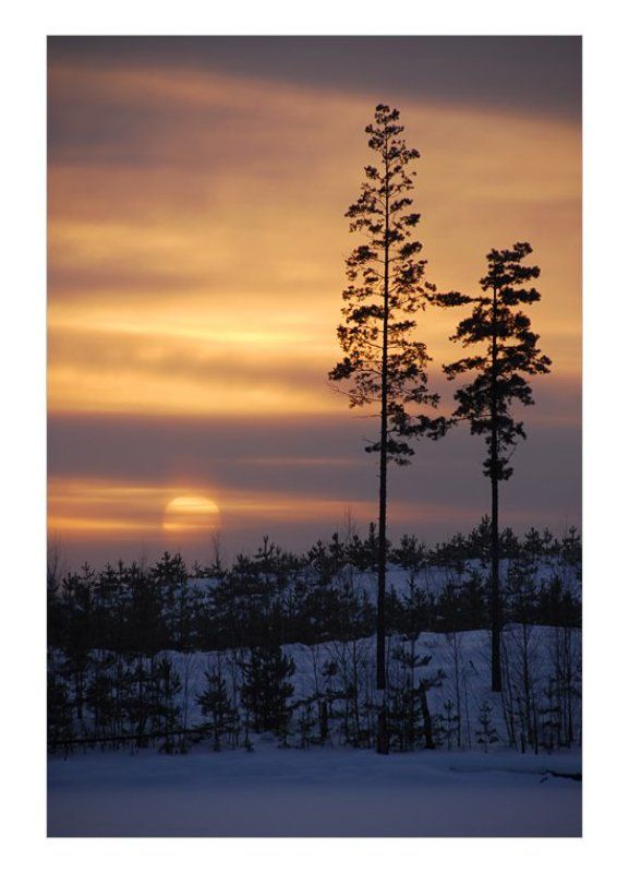 * * * фото превью