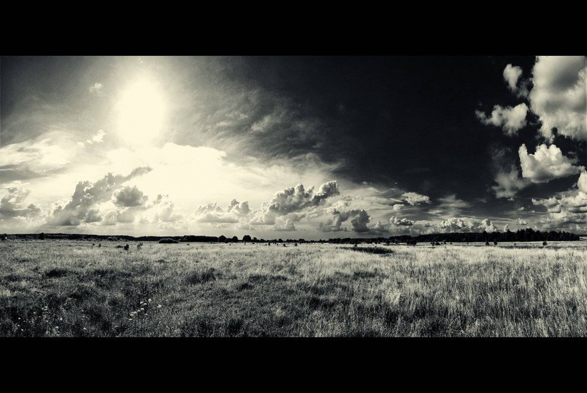 , Малюшицкий Алексей