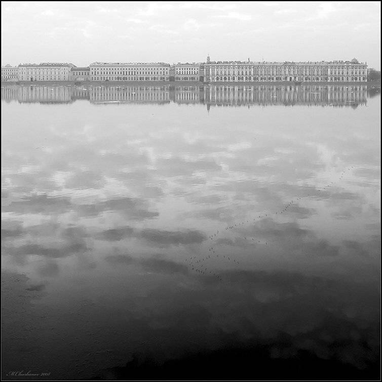 нева, весна, птицы, Михаил Чурбанов