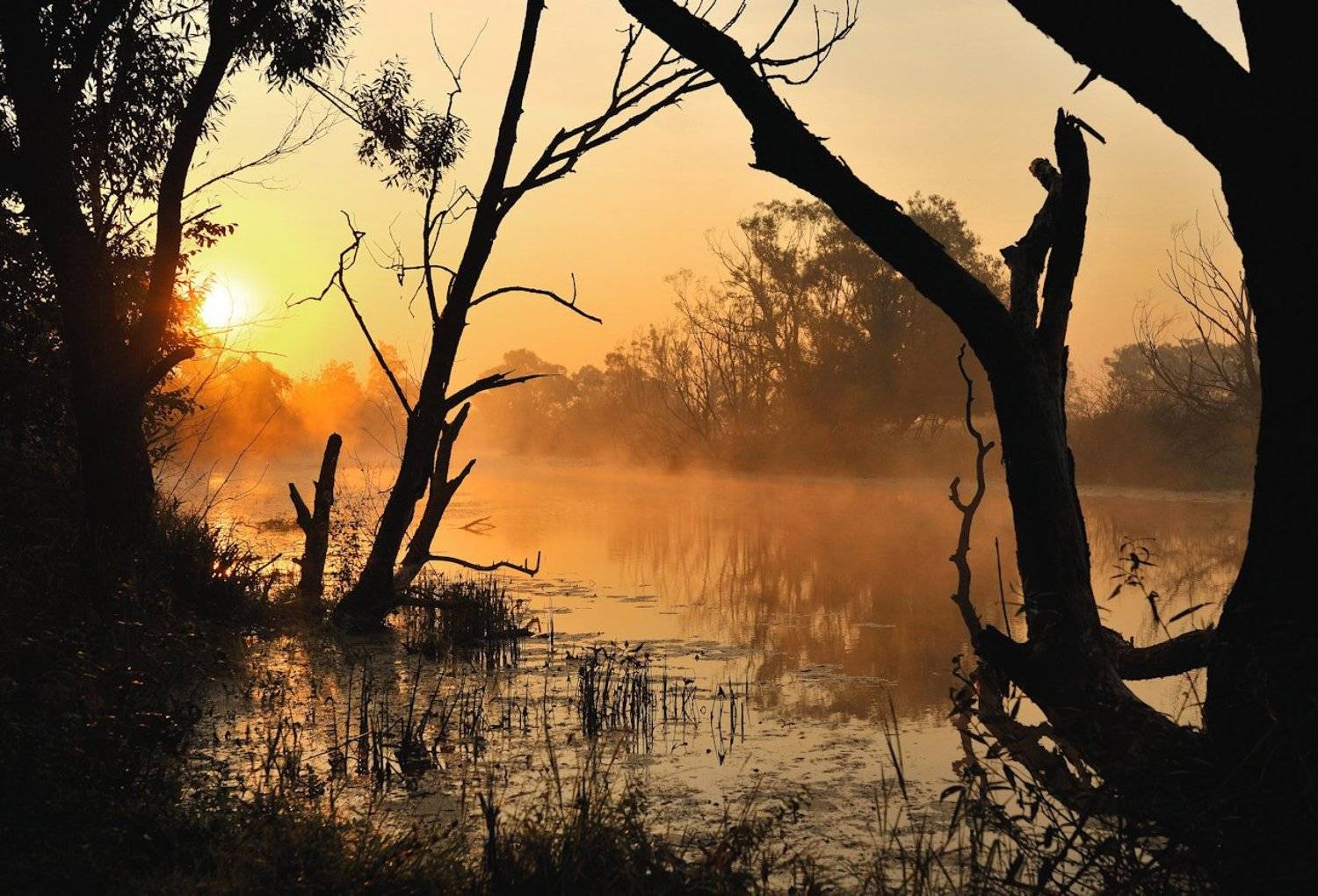, Андрей Балабин