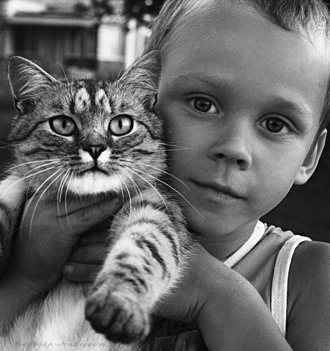 , Svoboda Andreeva