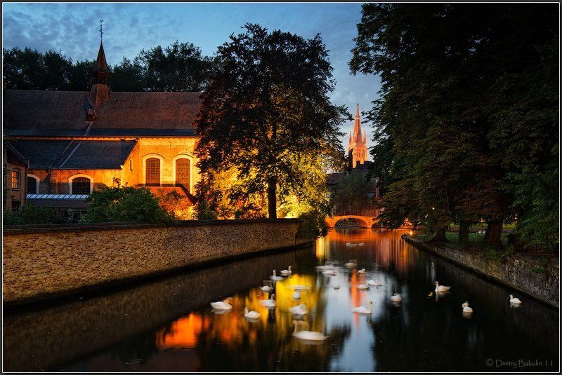 brugge Лебединое озеро фото превью