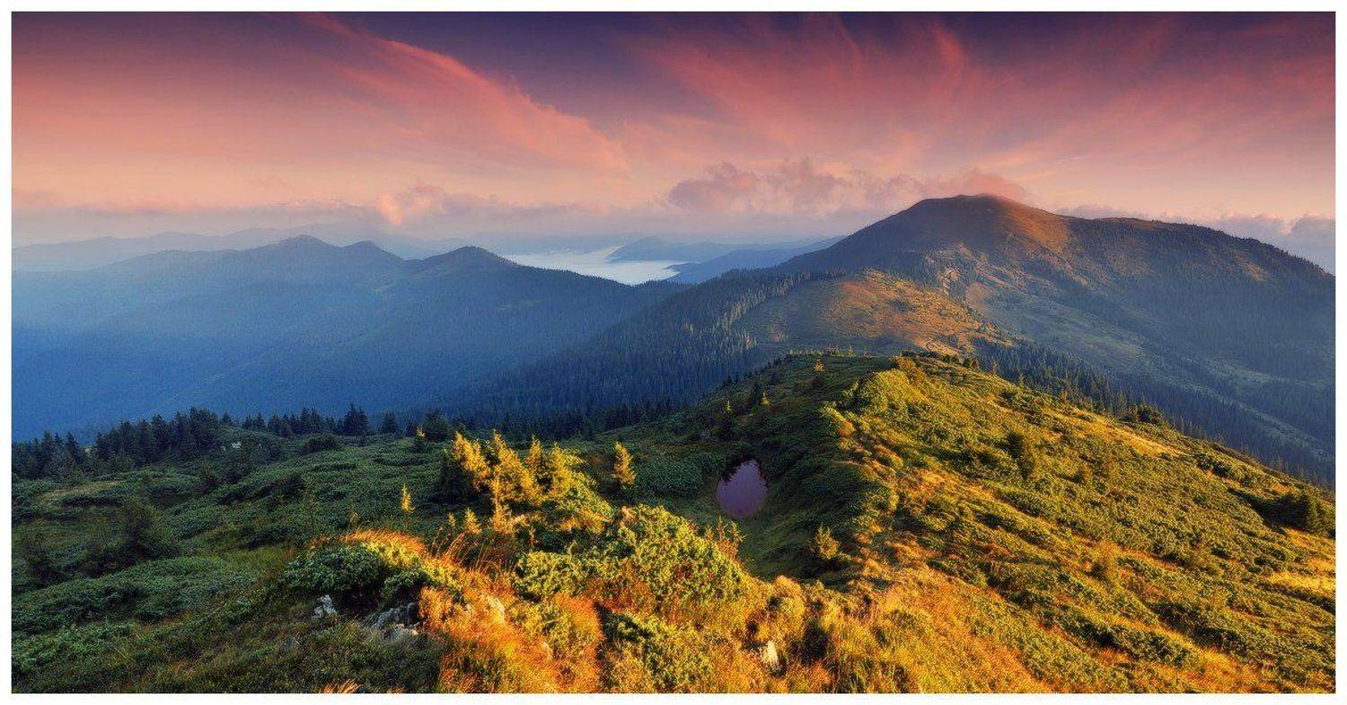 , Денис Кривой