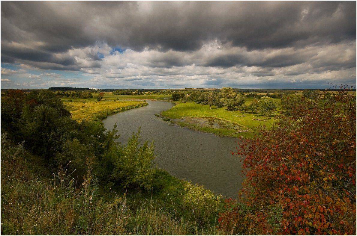 , Николай Шахманцир