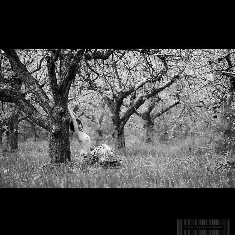 фотограф, белокуров, олег, воронеж, ню  фото превью