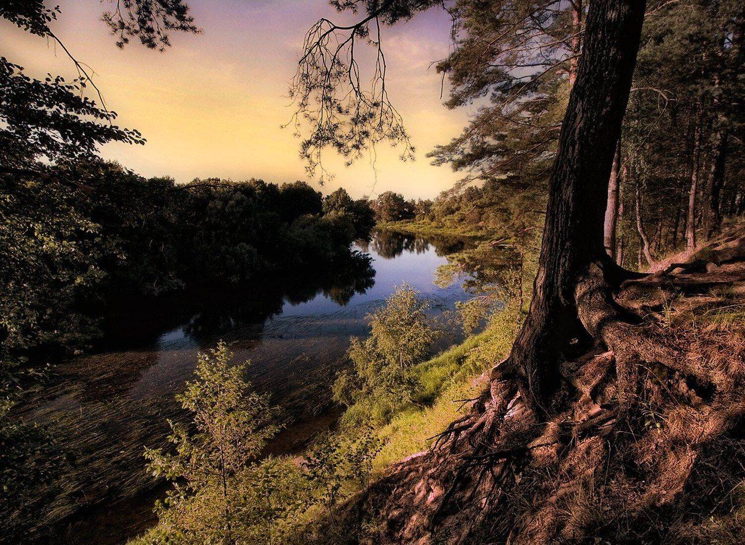 , Наталья Кузнецова (Nateletro)