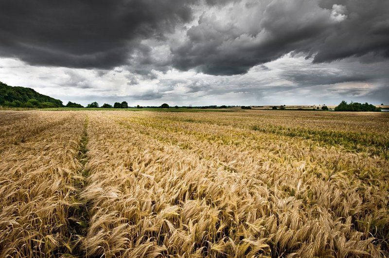 небо ,тучи, поле, буря  фото превью