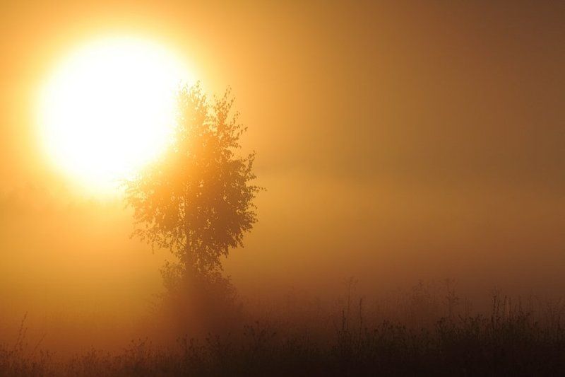 °f__ фото превью