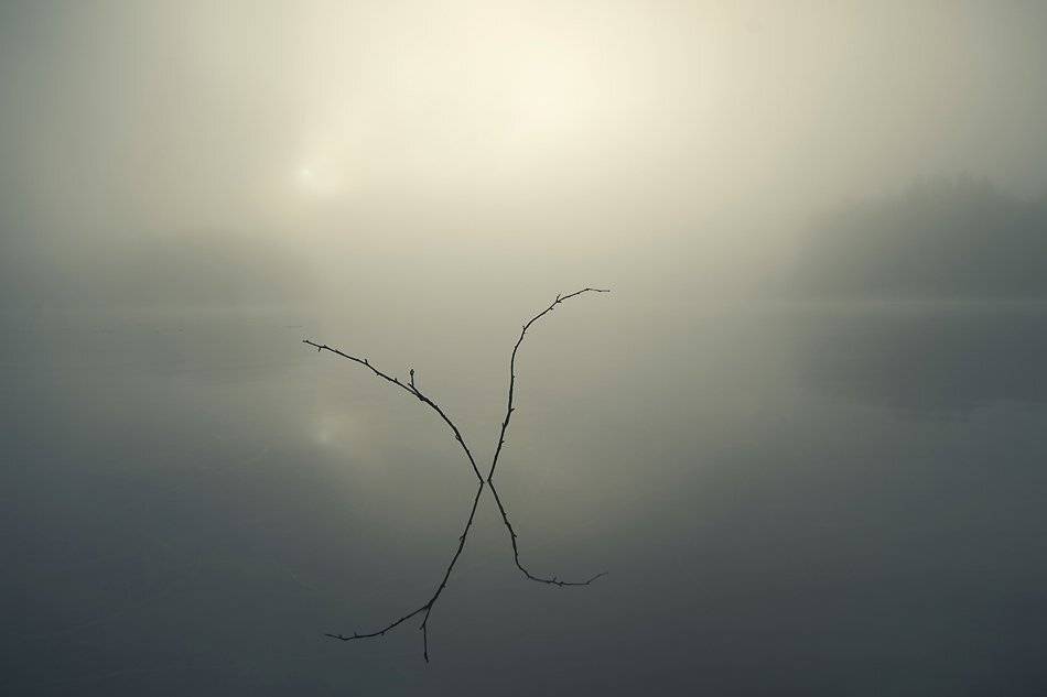 , Rimantas Bikulcius