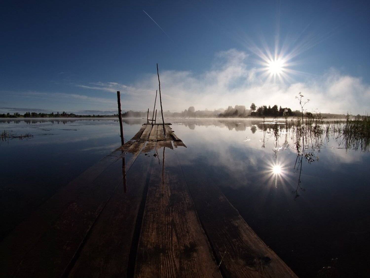 , Максим Евдокимов