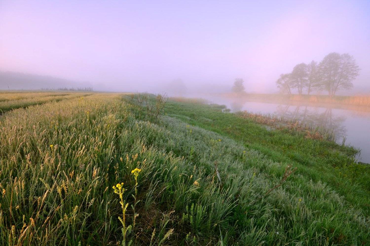 , Роман Шебанов