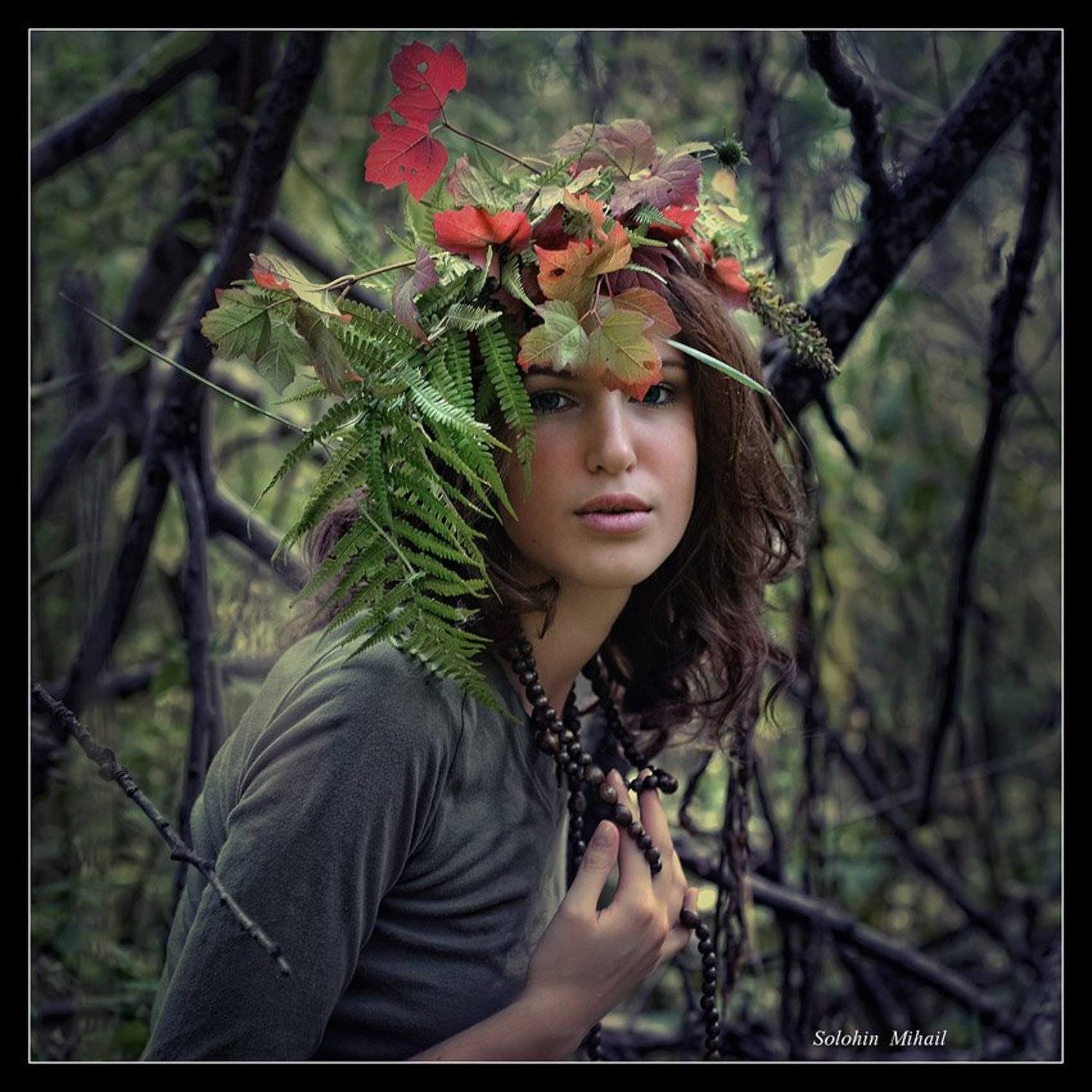 , Солохин Михаил