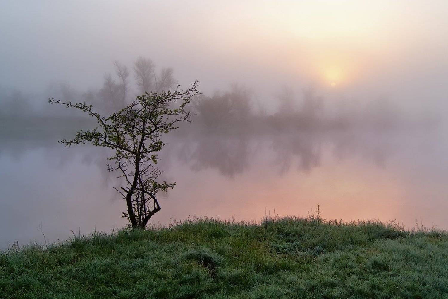 , Сергей Иванов