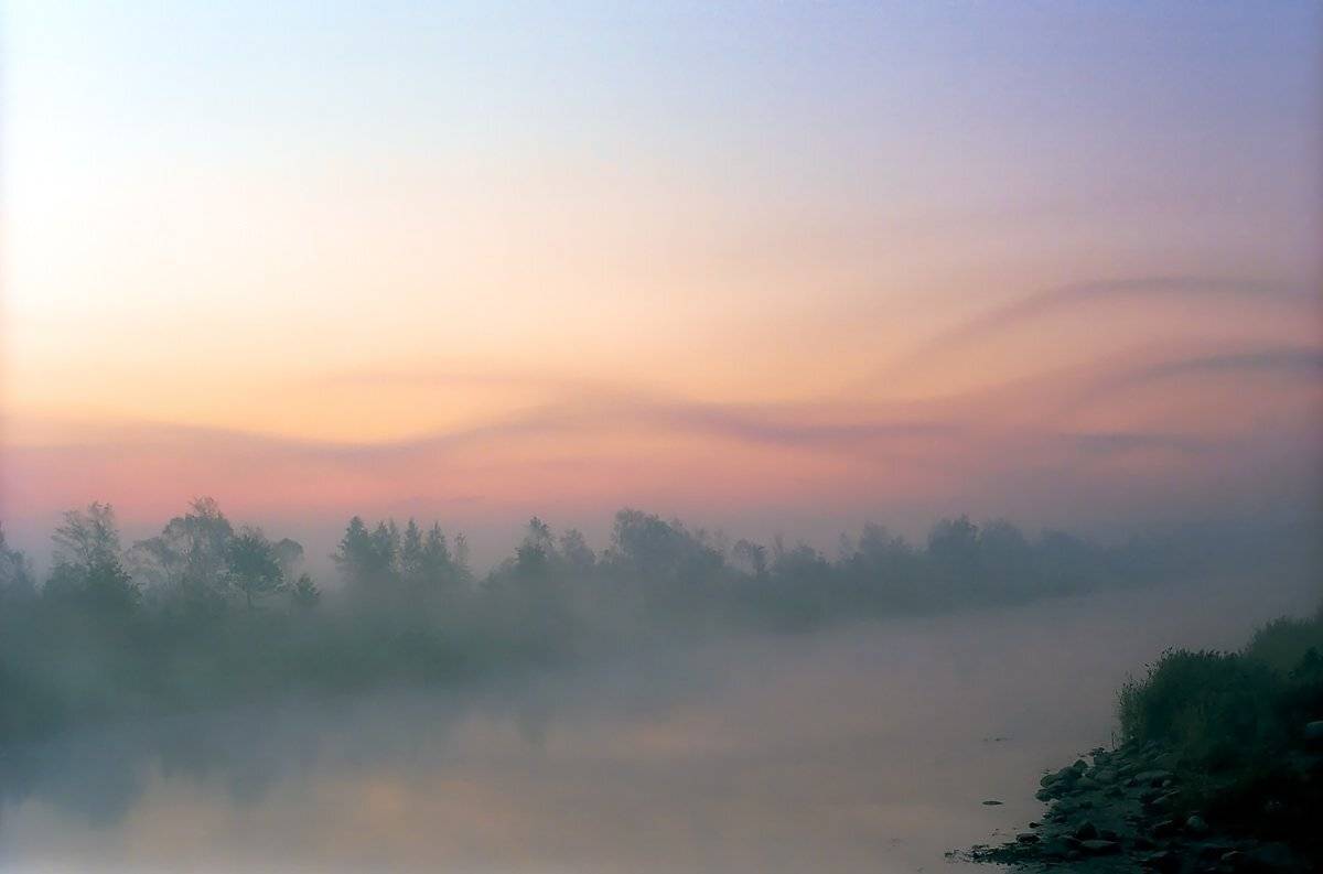 из, первых, пленочных, Василий Мулюкин
