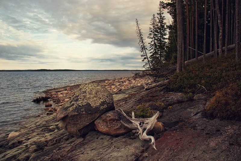 россия, карелия, сегозеро, пейзаж, лес, берег, вода, озеро, камень, коряга, небо, dyadyavasya Каменный берег фото превью