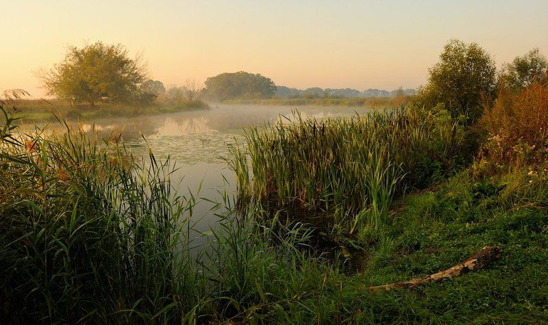 Знакомое место :) фото превью