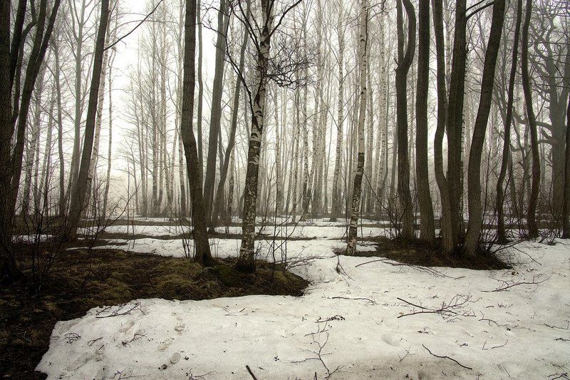 Весеннее фото превью