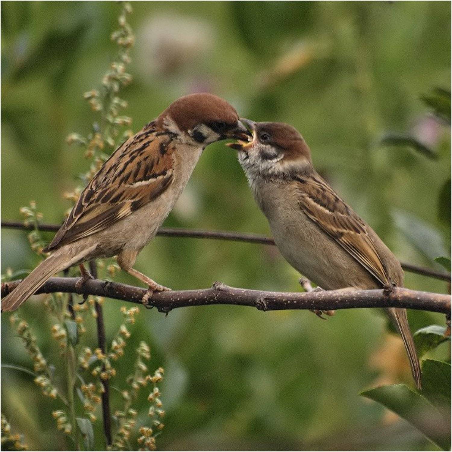, Алексей Макаров