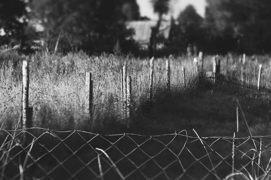 , Тимофеевский Валерий