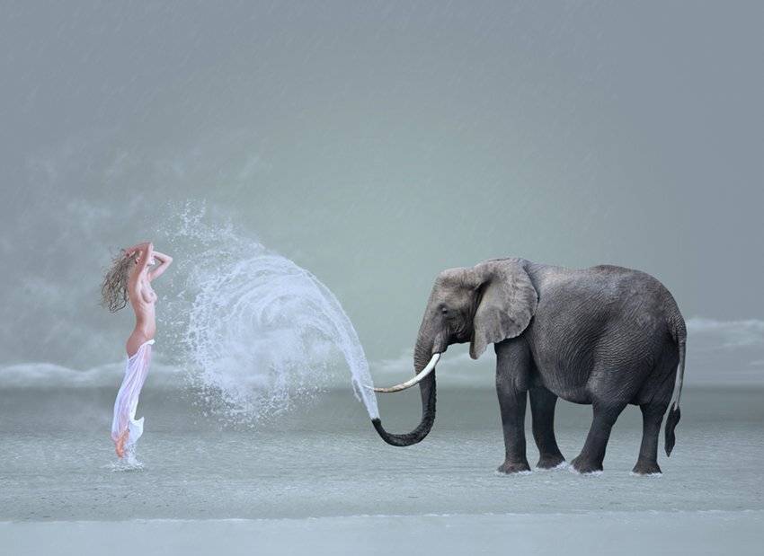 , Caras Ionut