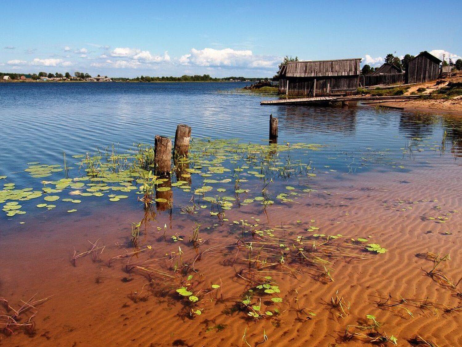 , Максим Евдокимов
