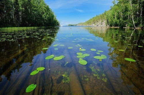 В краю чистой воды