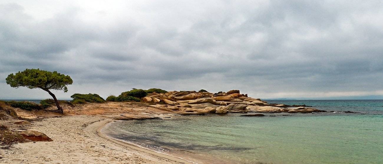 , Василий Мулюкин