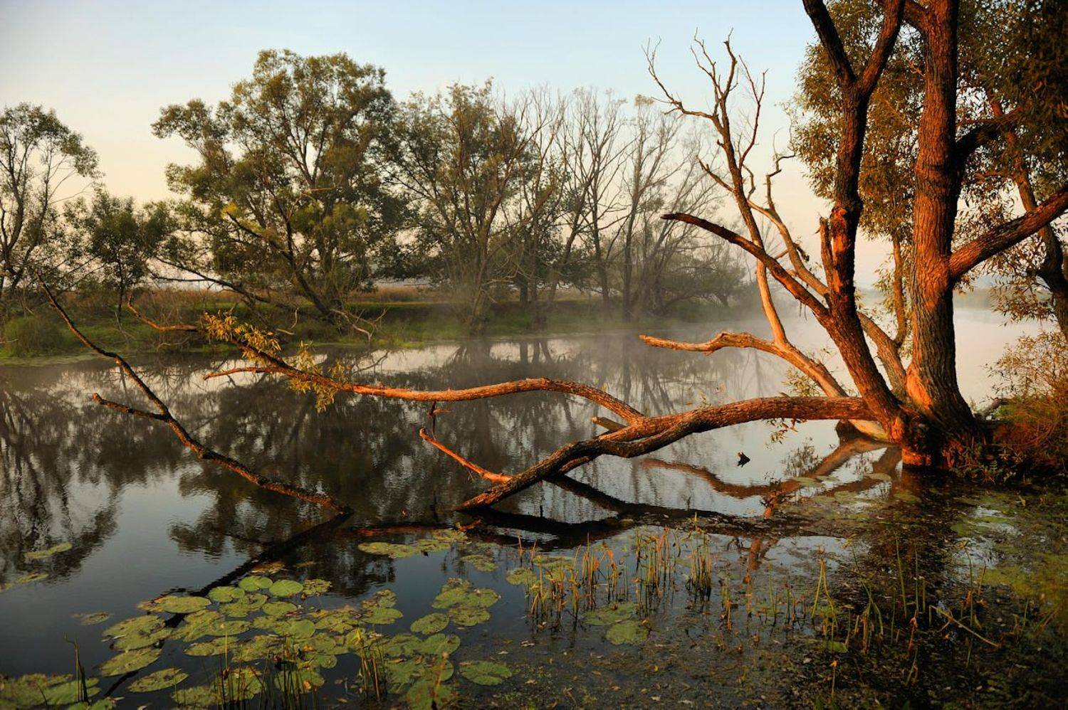 , Андрей Балабин
