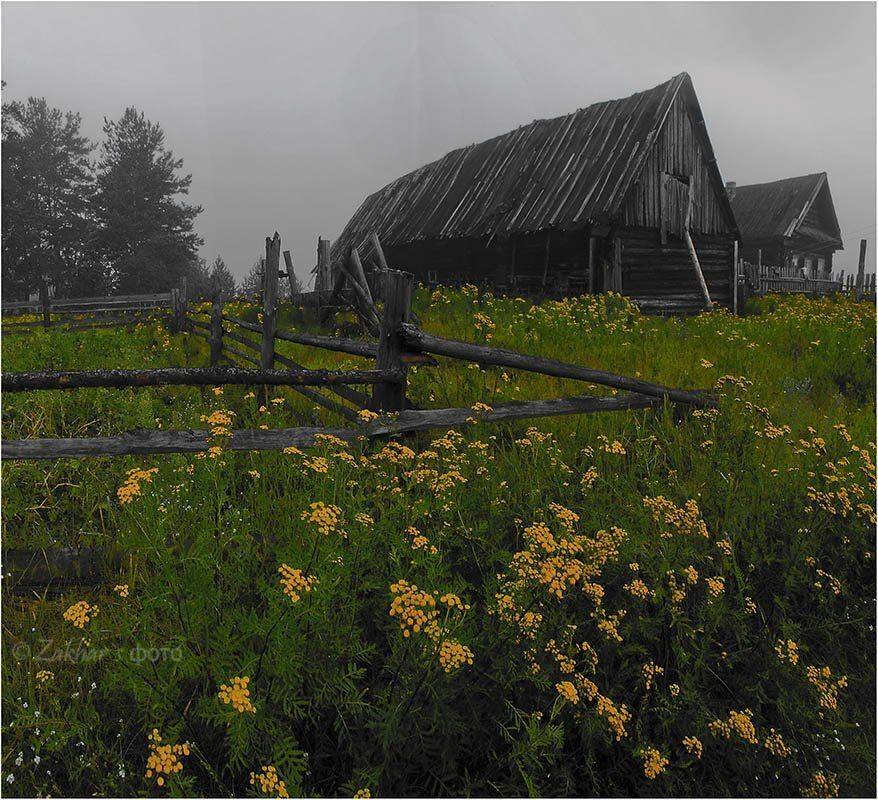 , Потап Кузьмич