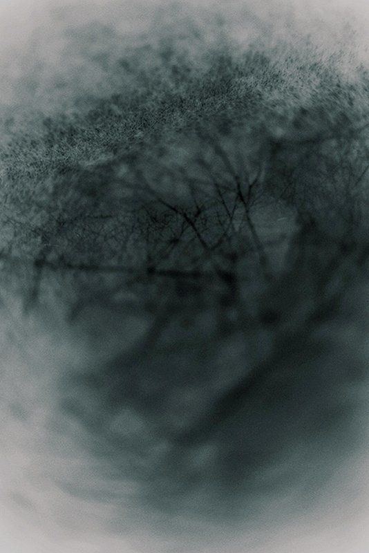 Прошедший сквозь. фото превью