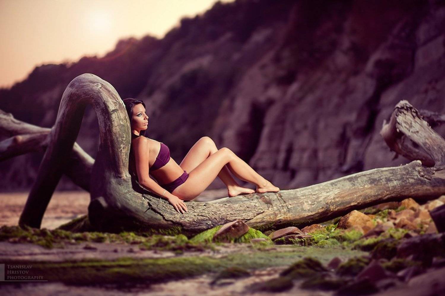 , Цанислав Христов