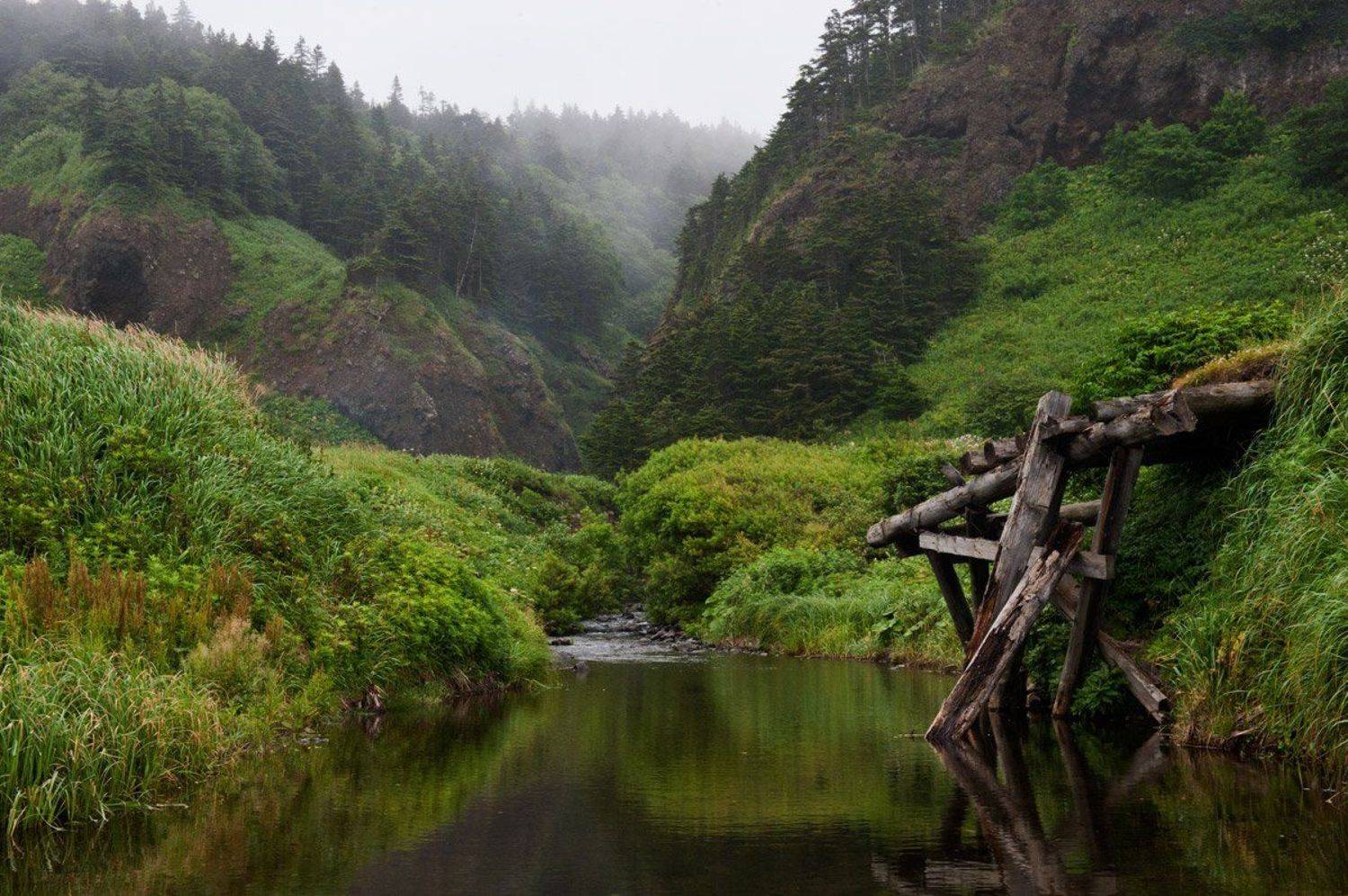 , Анатолий Страхов