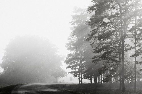 Остановка по требованию