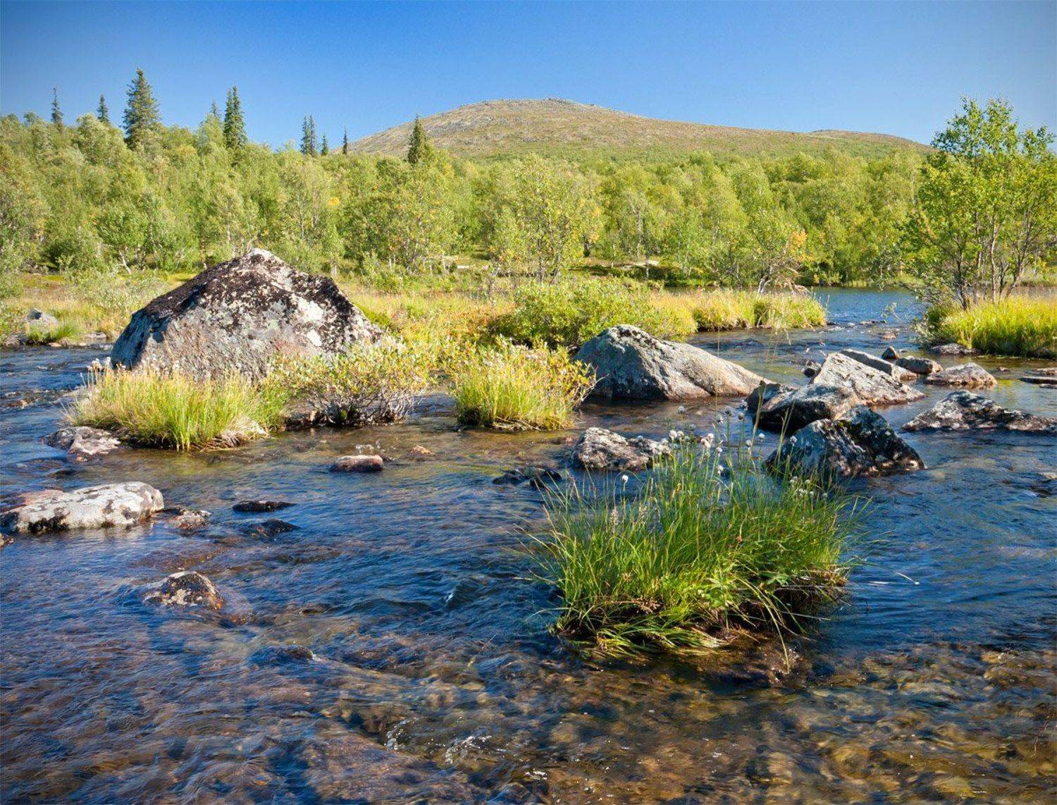 кольский, полуостров, сопка, ручей, вируайвенч, Nikolai (locus)