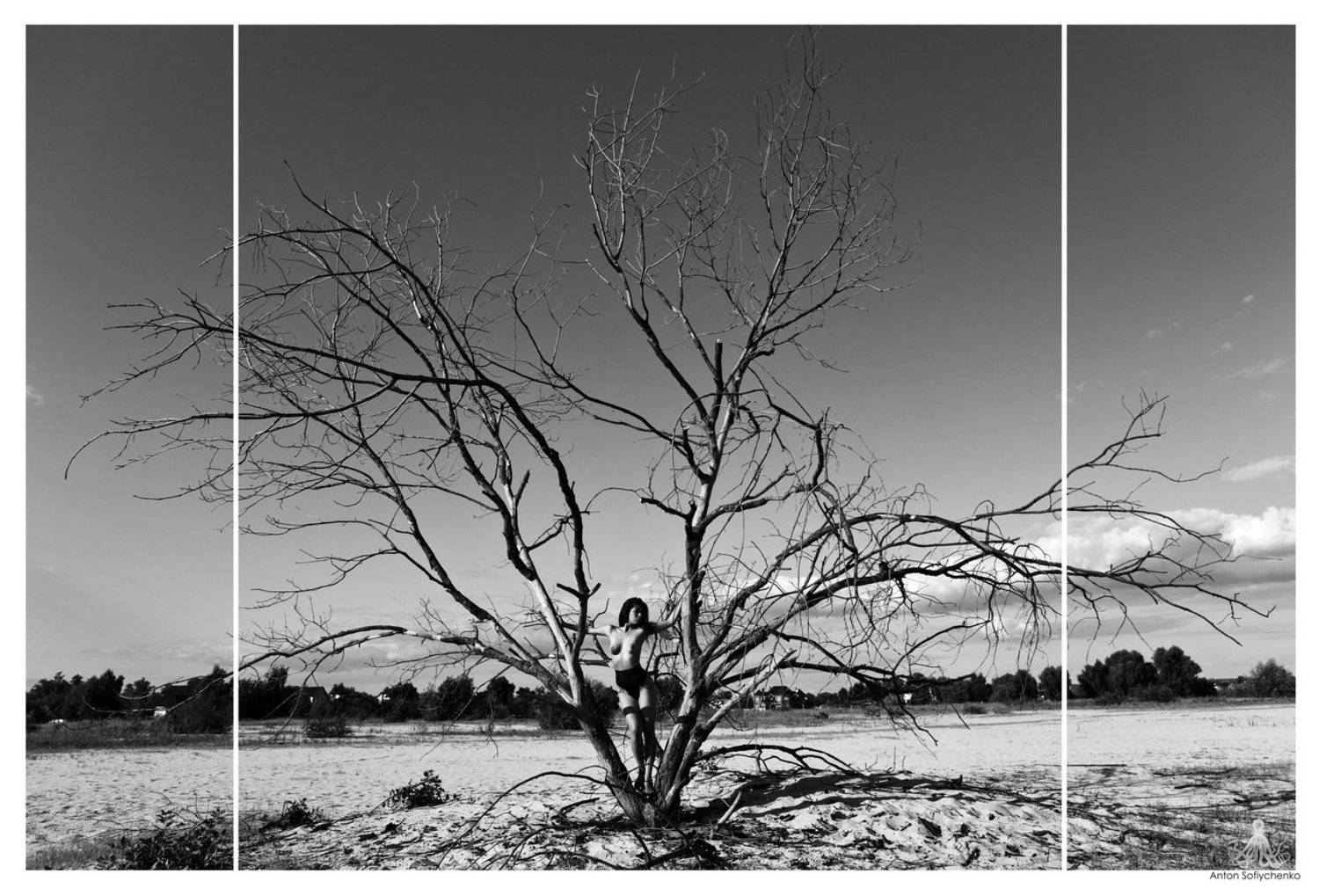 , Софийченко Антон