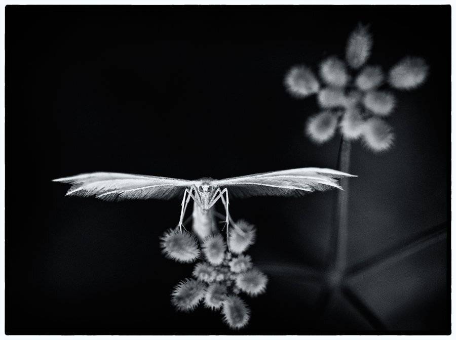 , Татьяна Аверина