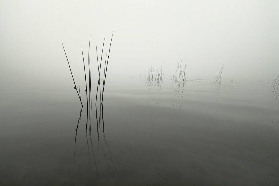 , Rimantas Bikulcius