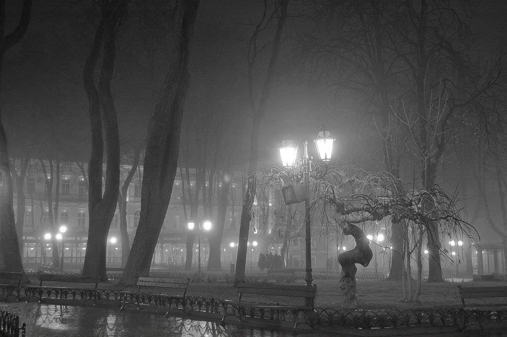 , Елена odelena