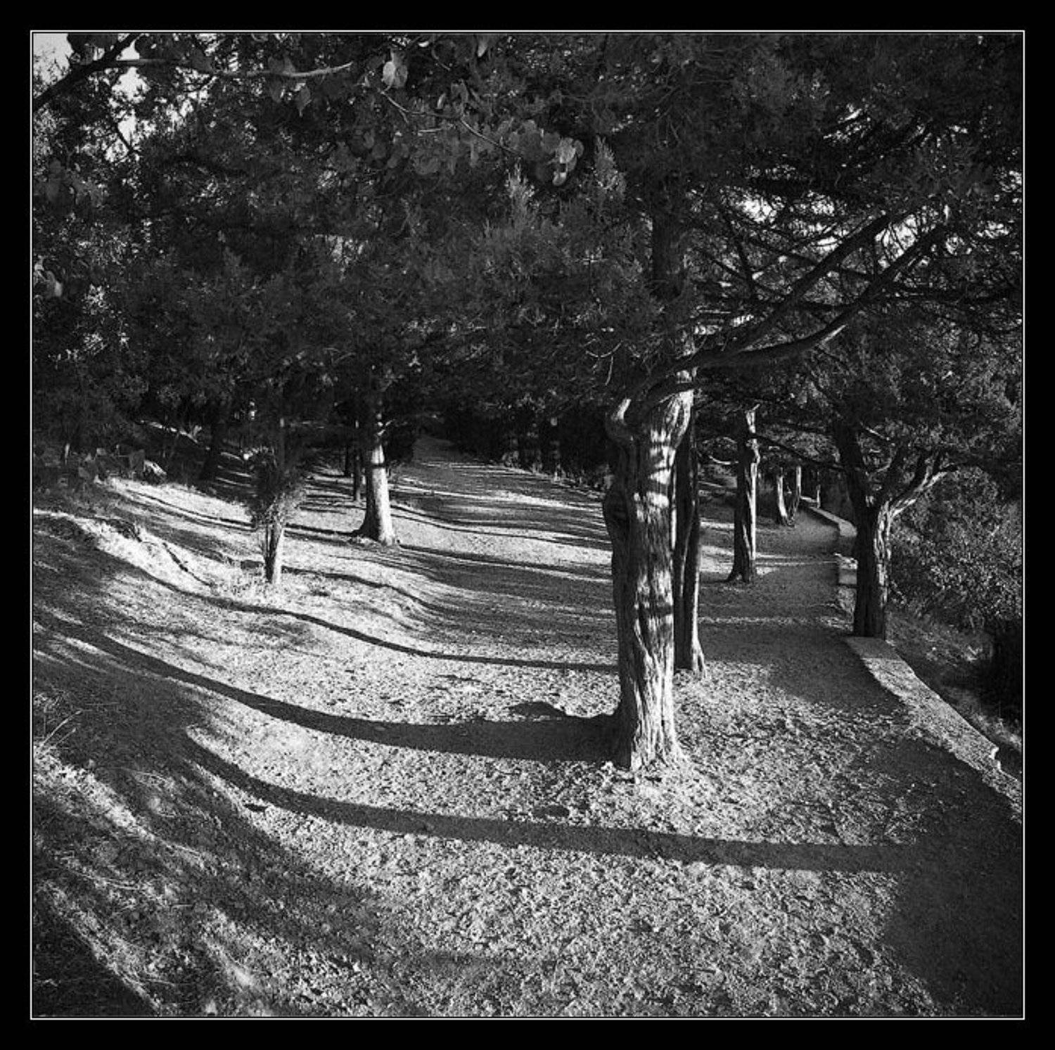 , Андрей Кобыща