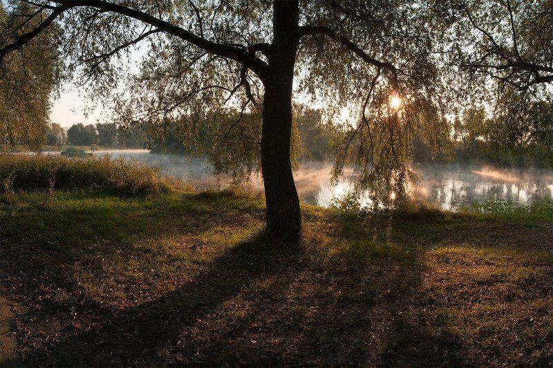 Золотой рассвет фото превью