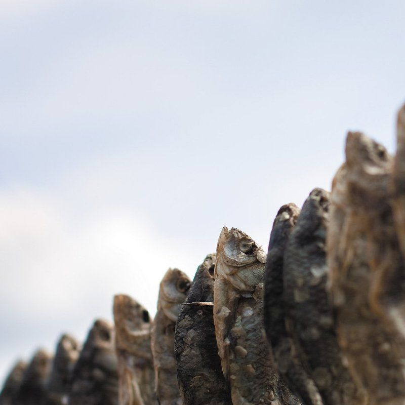 Отходная молитва фото превью