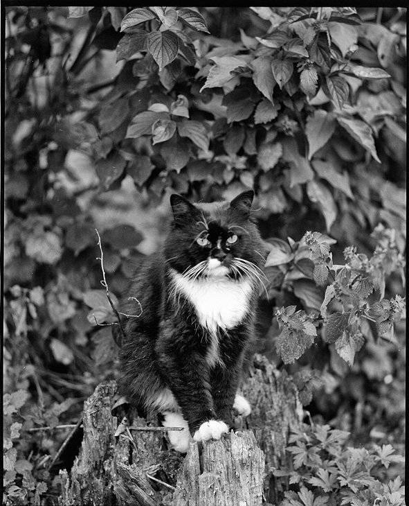 , Юрий Наумович