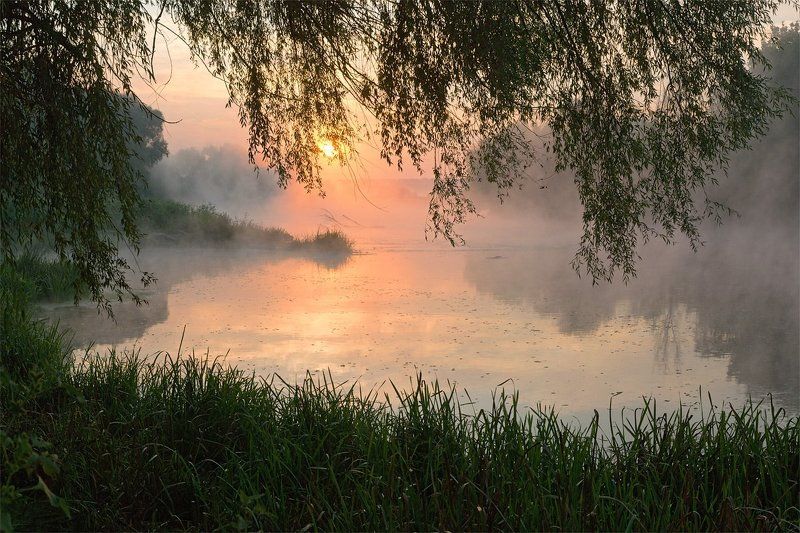 Сквозь открытое веко фото превью