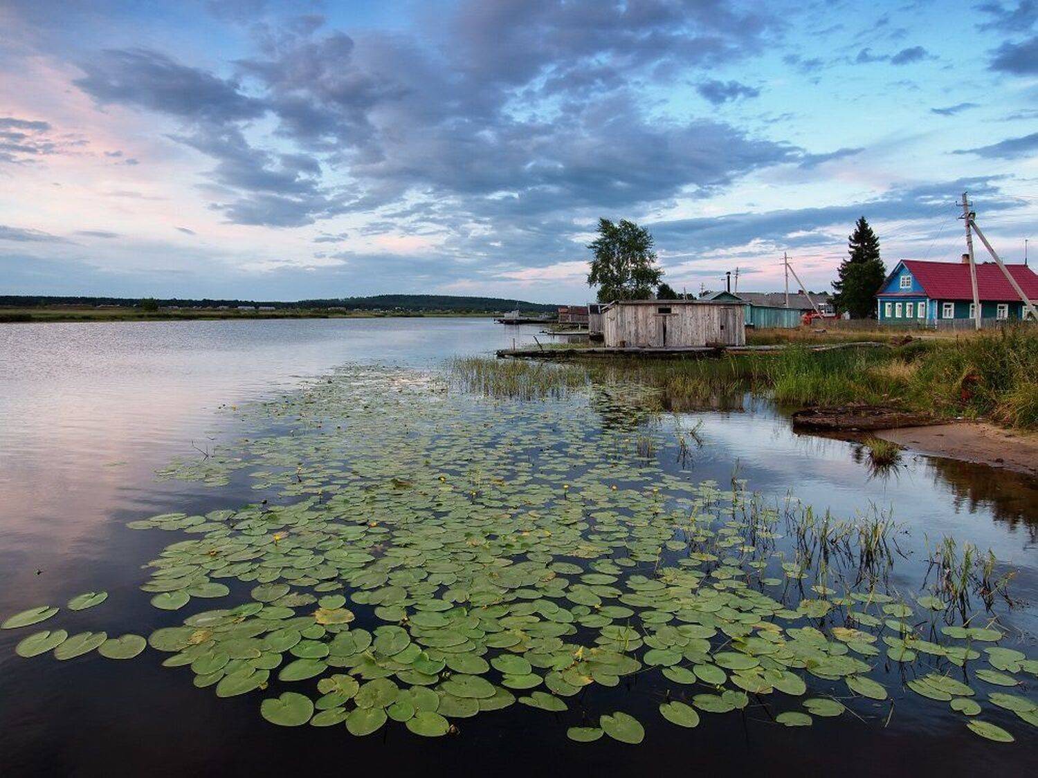 , Максим Евдокимов
