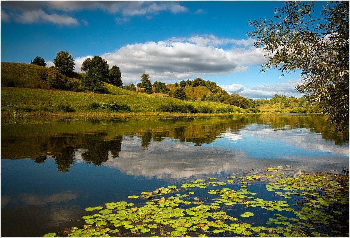 , Николай Шахманцир