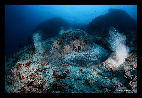 К взлету готов