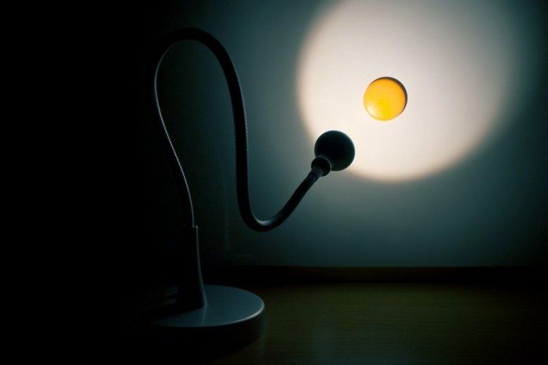 fried egg фото превью