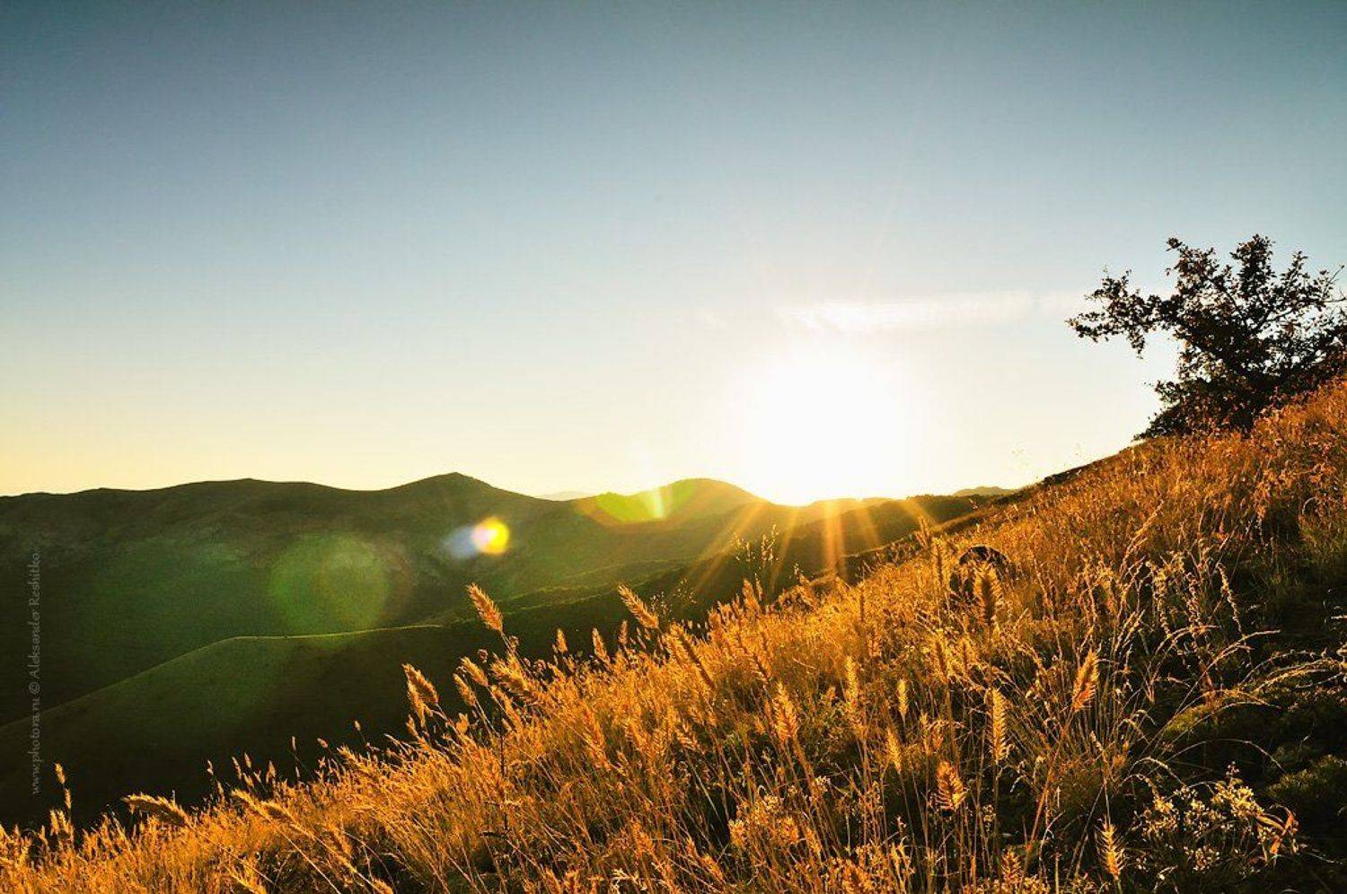 , Александр Решитько